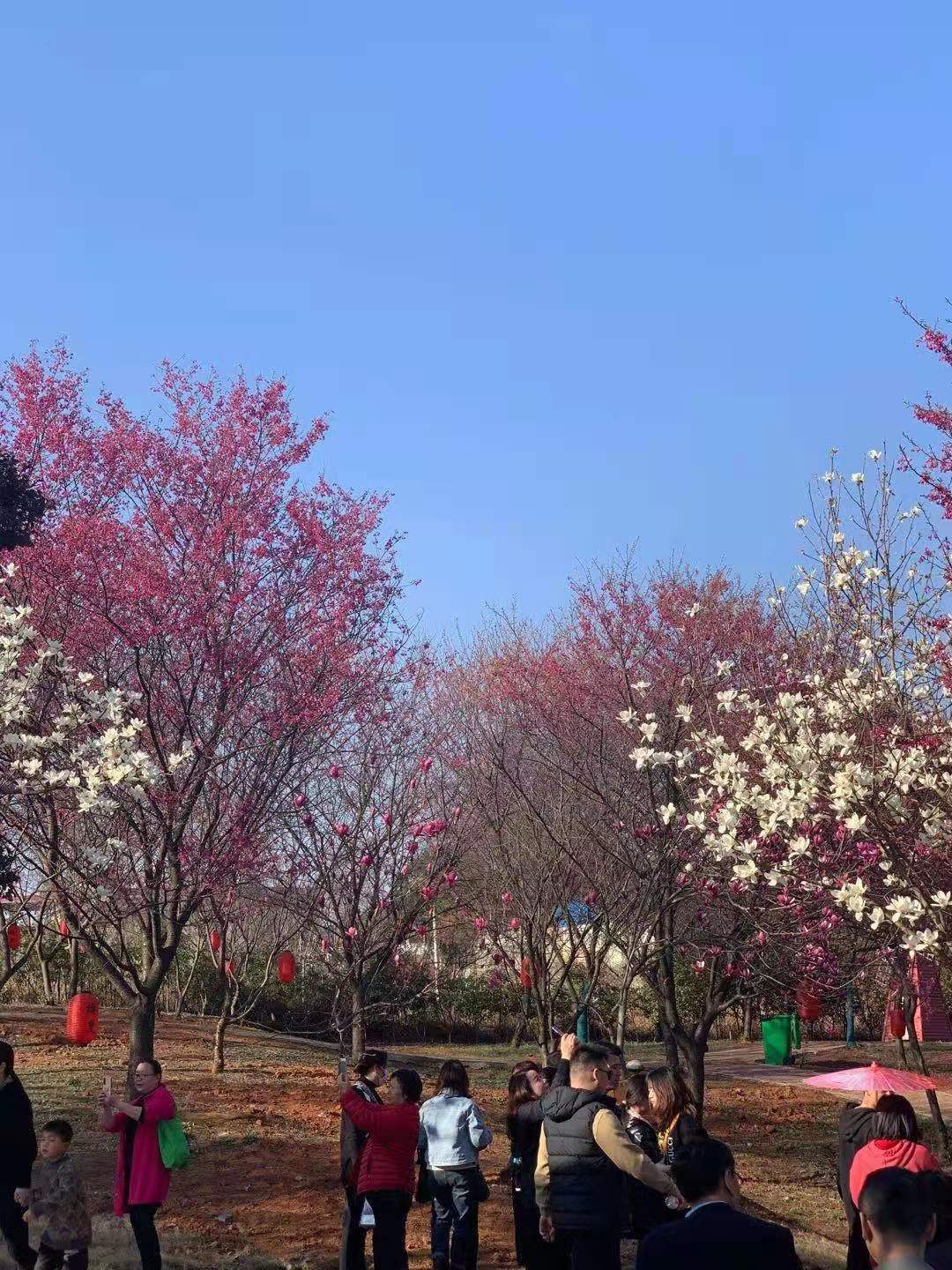 微信图片_20210215122321.jpg