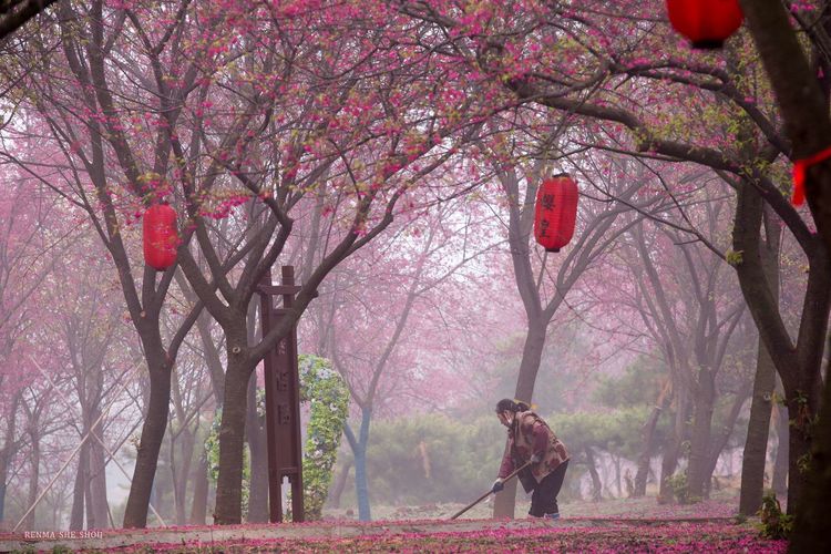 微信图片_20210215130456.jpg
