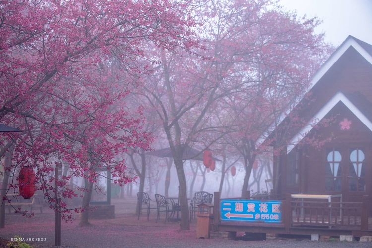微信图片_20210215130039.jpg